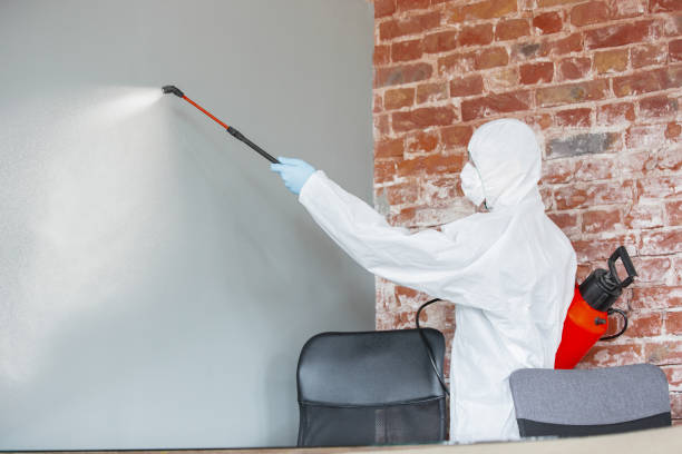 Best Mold Documentation for Insurance Claims  in Middlebury, IN