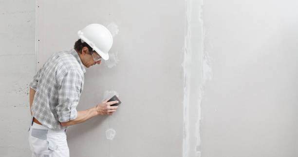 Best Forensic Mold Investigation  in Middlebury, IN
