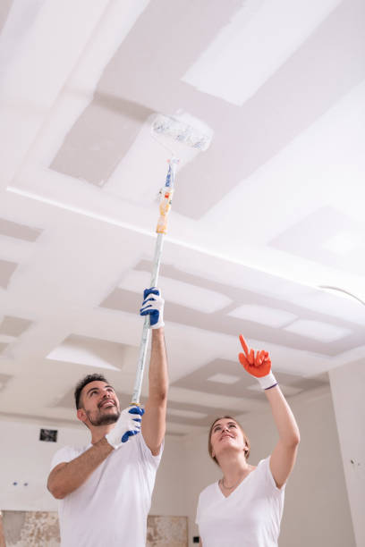 Best Residential Mold Inspection & Testing  in Middlebury, IN