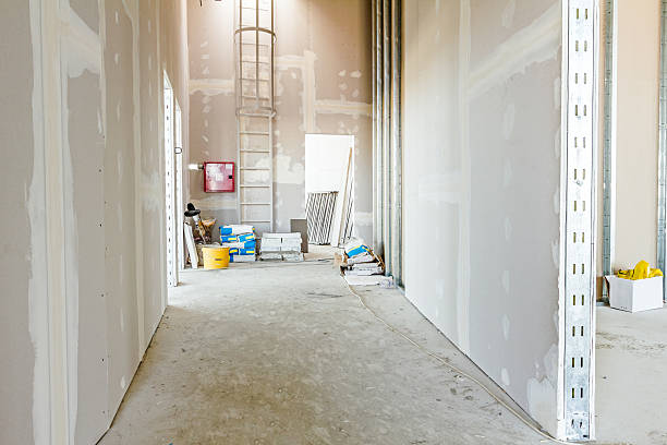 Best Mold Damage Restoration  in Middlebury, IN