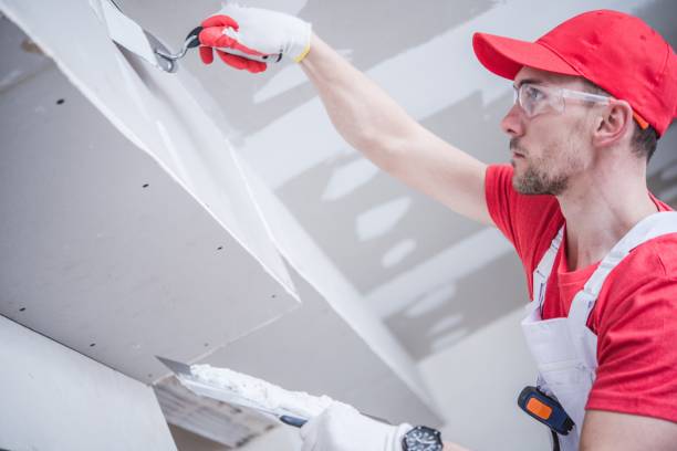Best Biohazard Mold Removal  in Middlebury, IN