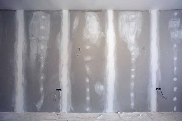 Best Water Damage & Mold Remediation  in Middlebury, IN